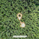 recensioni degli agronomi su urbismap