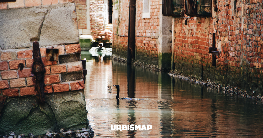 geoportali e maltempo, il ruolo di urbismap