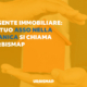 asso nella manica agente immobiliare