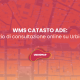WMS Catasto Ade_urbismap