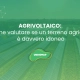 AGRIVOLTAICO: come valutare se un terreno agricolo è davvero idoneo