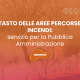 CATASTO DELLE AREE PERCORSE DA INCENDI: servizio per la Pubblica Amministrazione